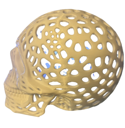 lattice skull