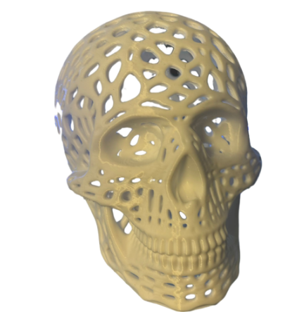 lattice skull